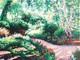 Image01